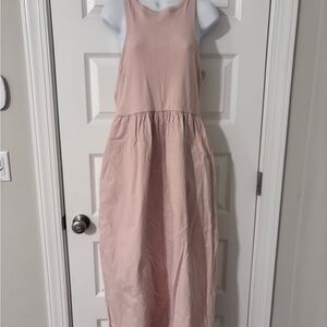 Treasure & Bond Blush Dress